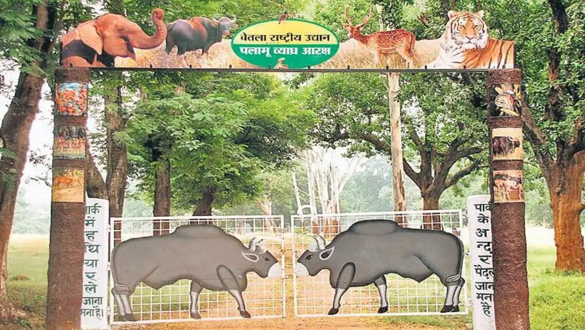 Vanjeevi Didi Initiative