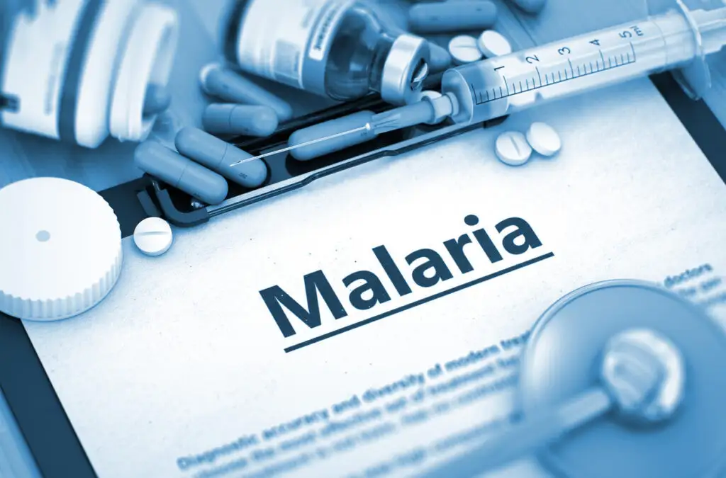World Malaria Day