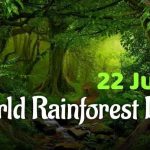 World Rainforest Day