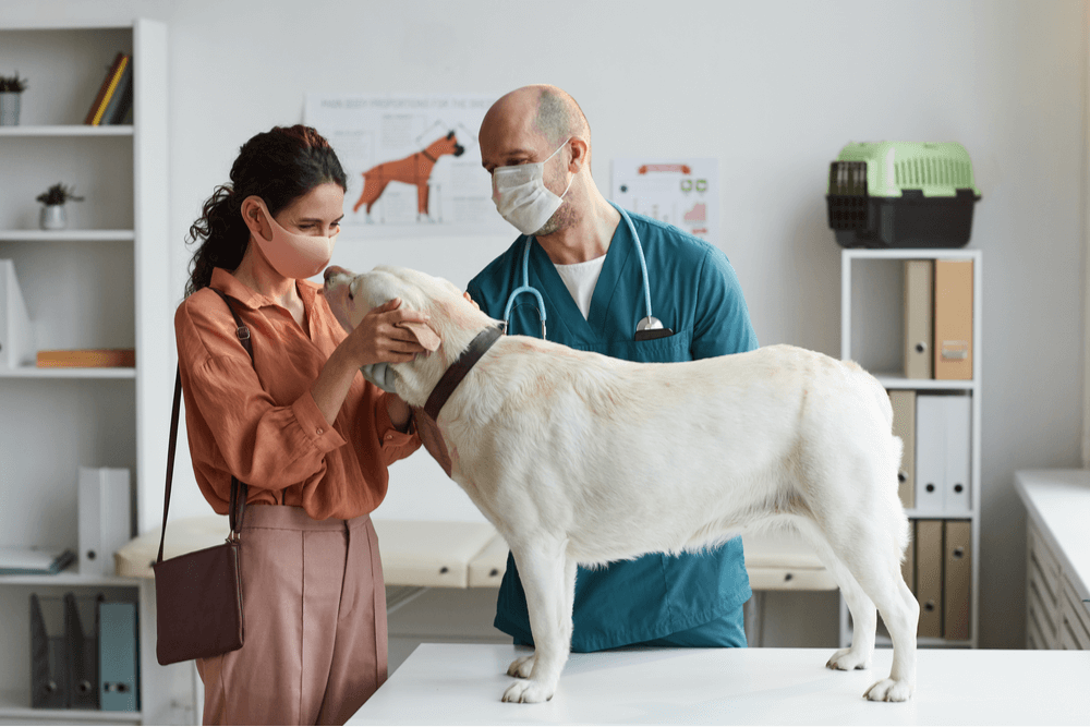 World Veterinary Day