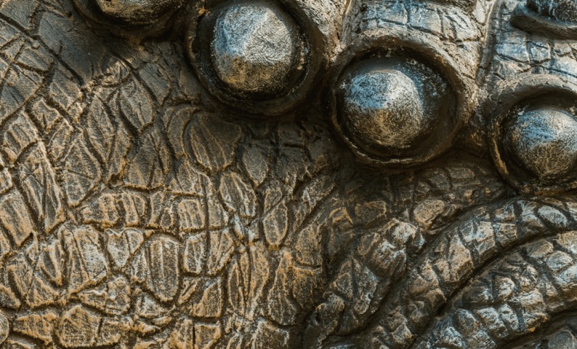 289M Reptile Fossil Discovery Reveals Ancient Skin Secrets Plan Bee 289M Reptile Fossil Discovery