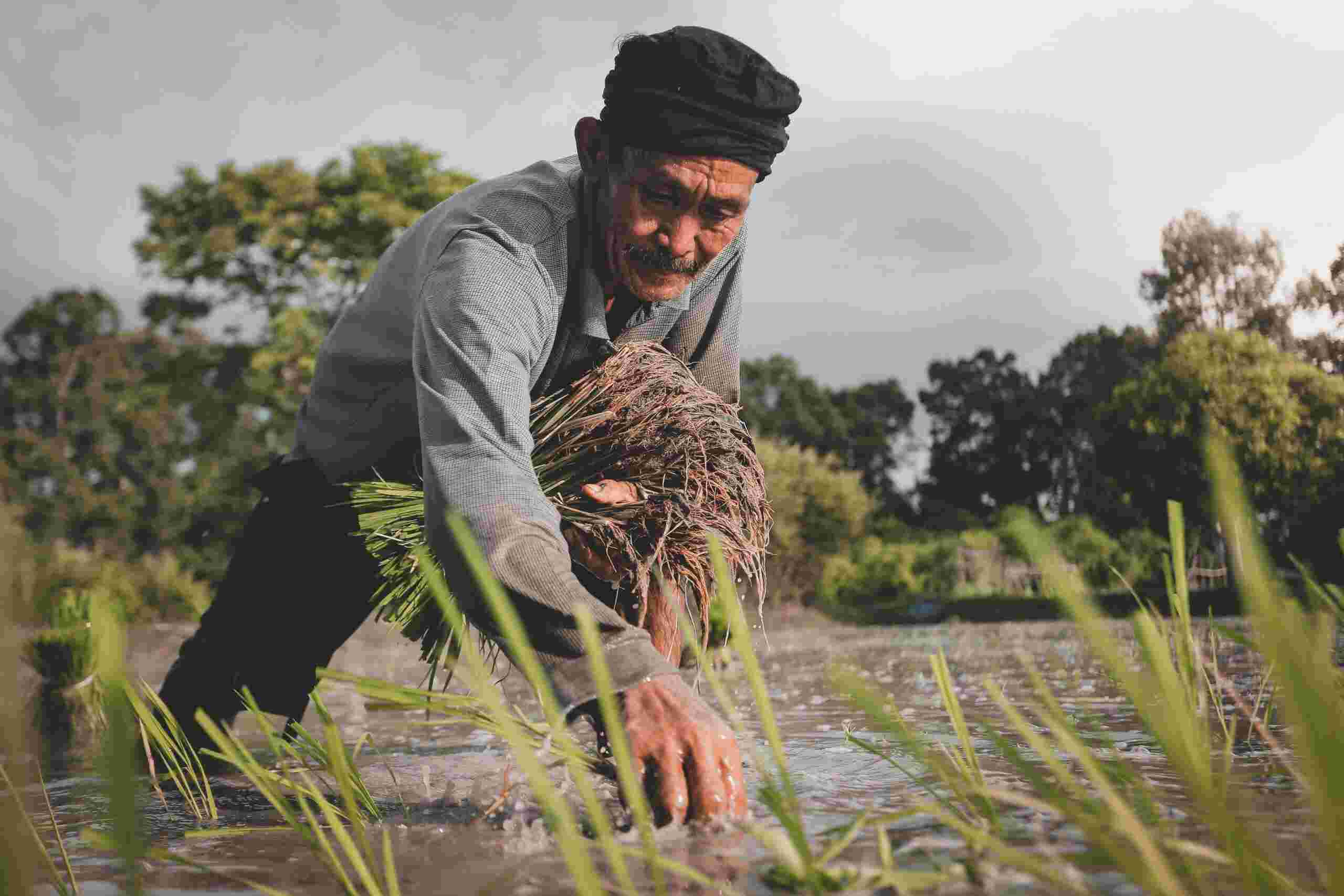 Agricultural Reform