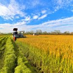 Agricultural Reform