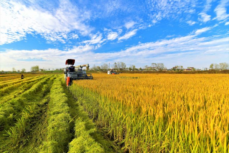 Agricultural Reform