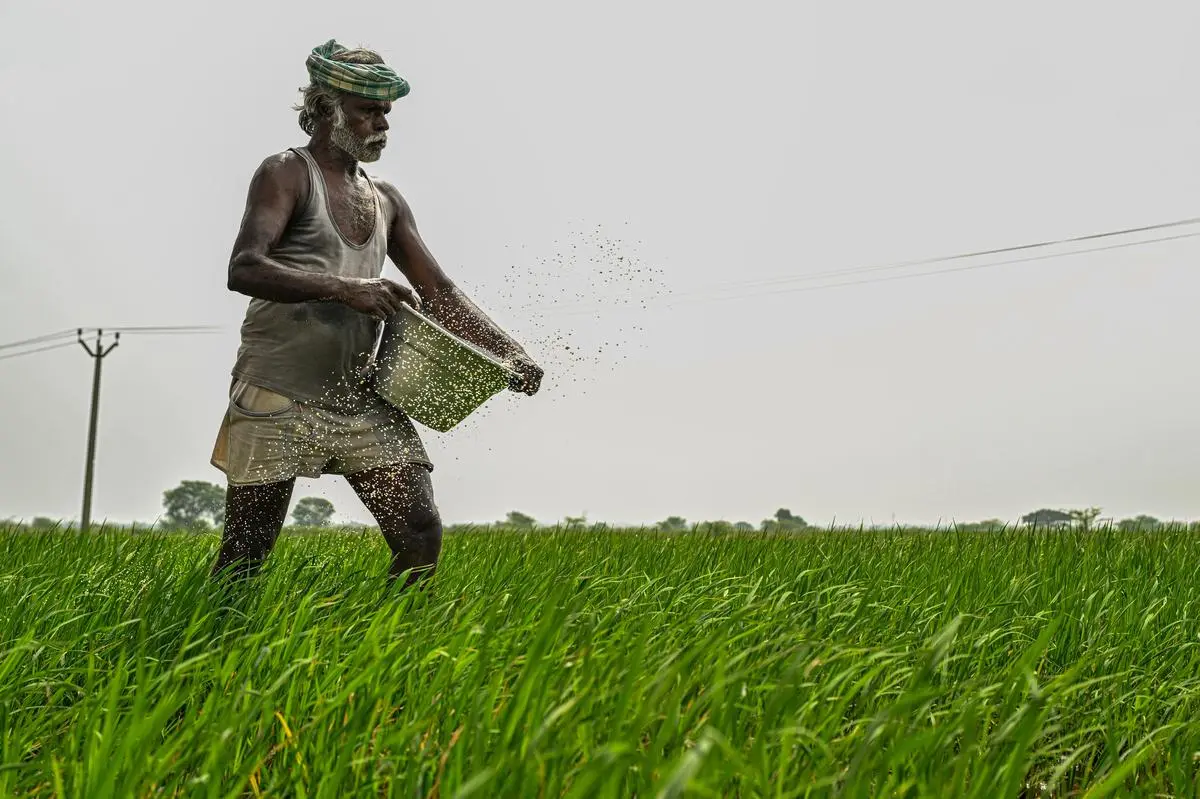 Agricultural Reform 