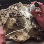 Ancient Dinosaur Eggs Portugal