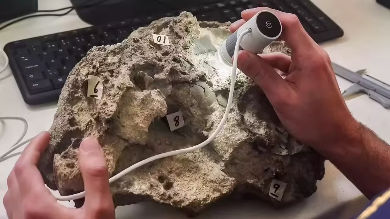 Ancient Dinosaur Eggs Portugal