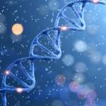 Ancient Horse DNA Germany