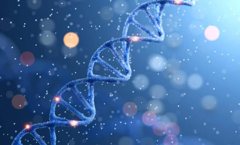 Ancient Horse DNA Germany