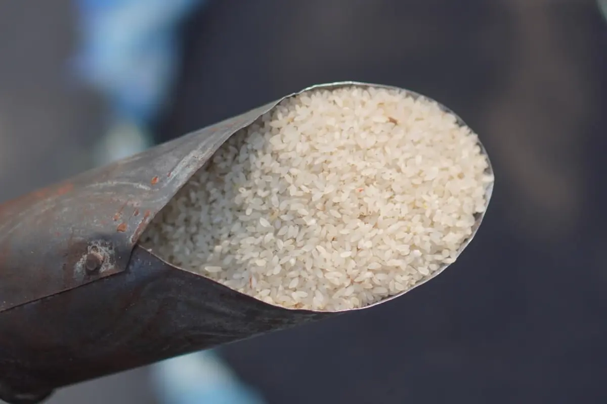 Assam GI Joha Rice Export
