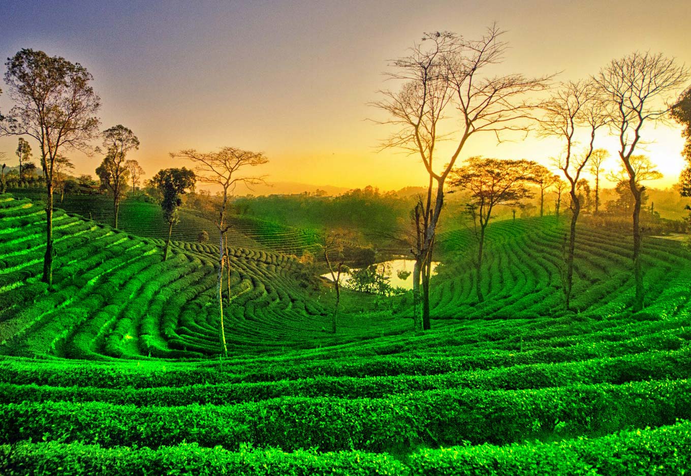 Assam’s Only Hill Station