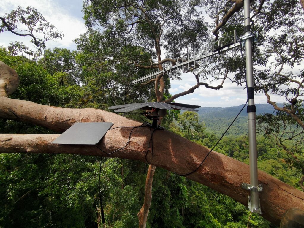 FSI Anavaran System Halt 