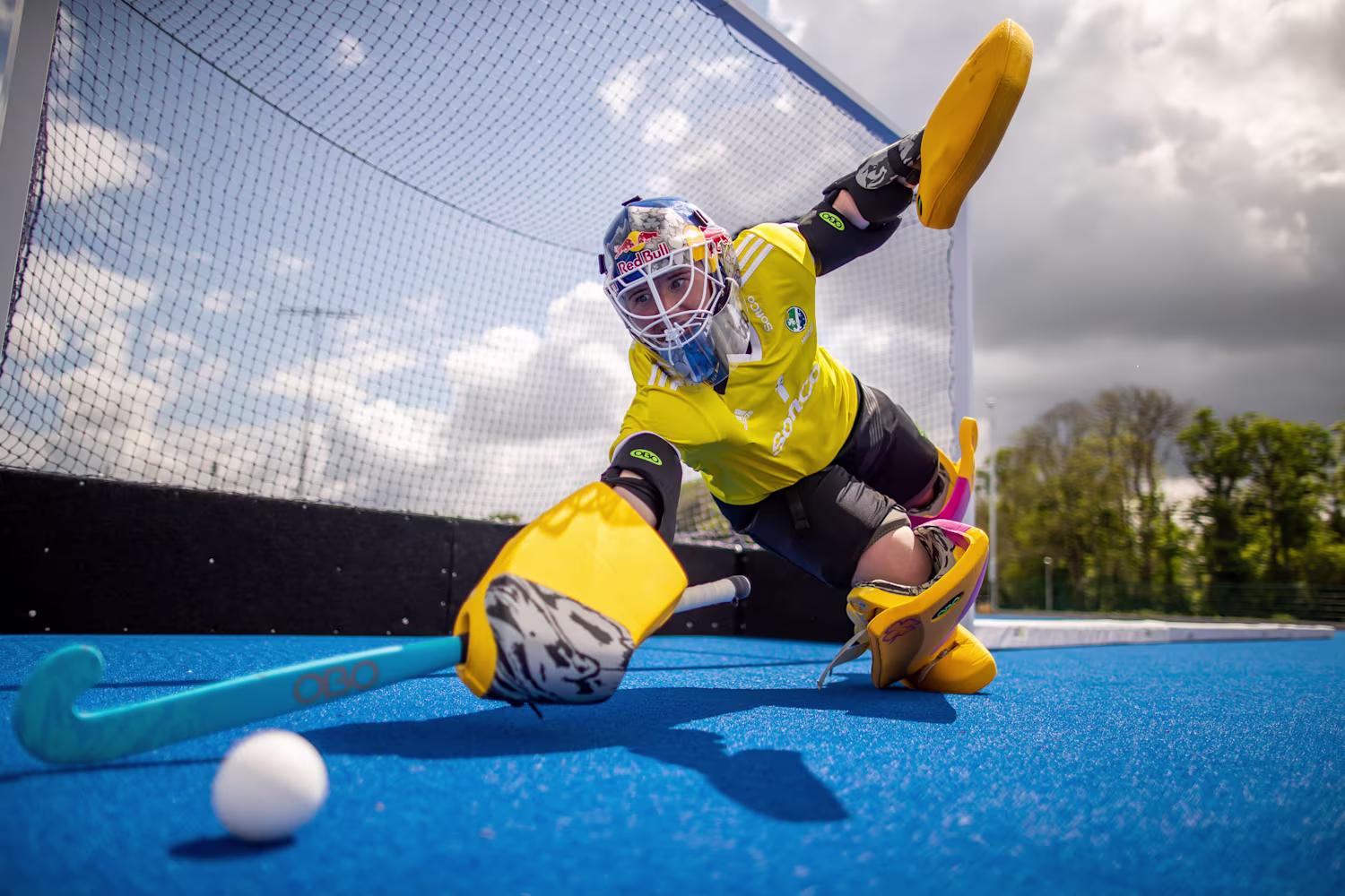 Field Hockey: The Power, Passion, and Pride of the Game Field Hockey