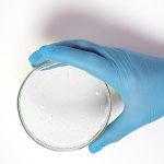 Ghee Biosurfactant Discovery