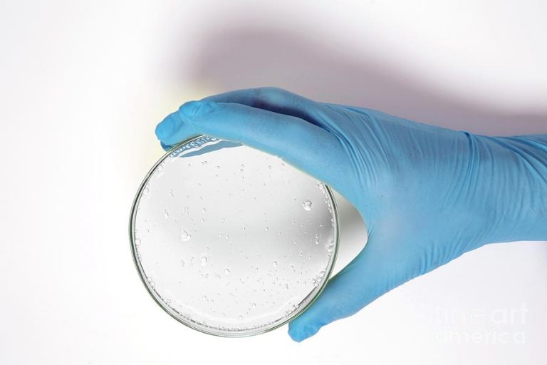 Ghee Biosurfactant Discovery