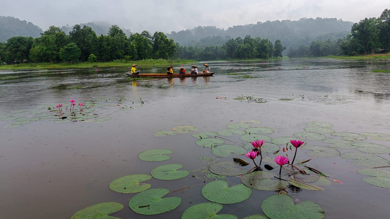 Explore Guwahati City Livestock Insurance Portal Guwahati