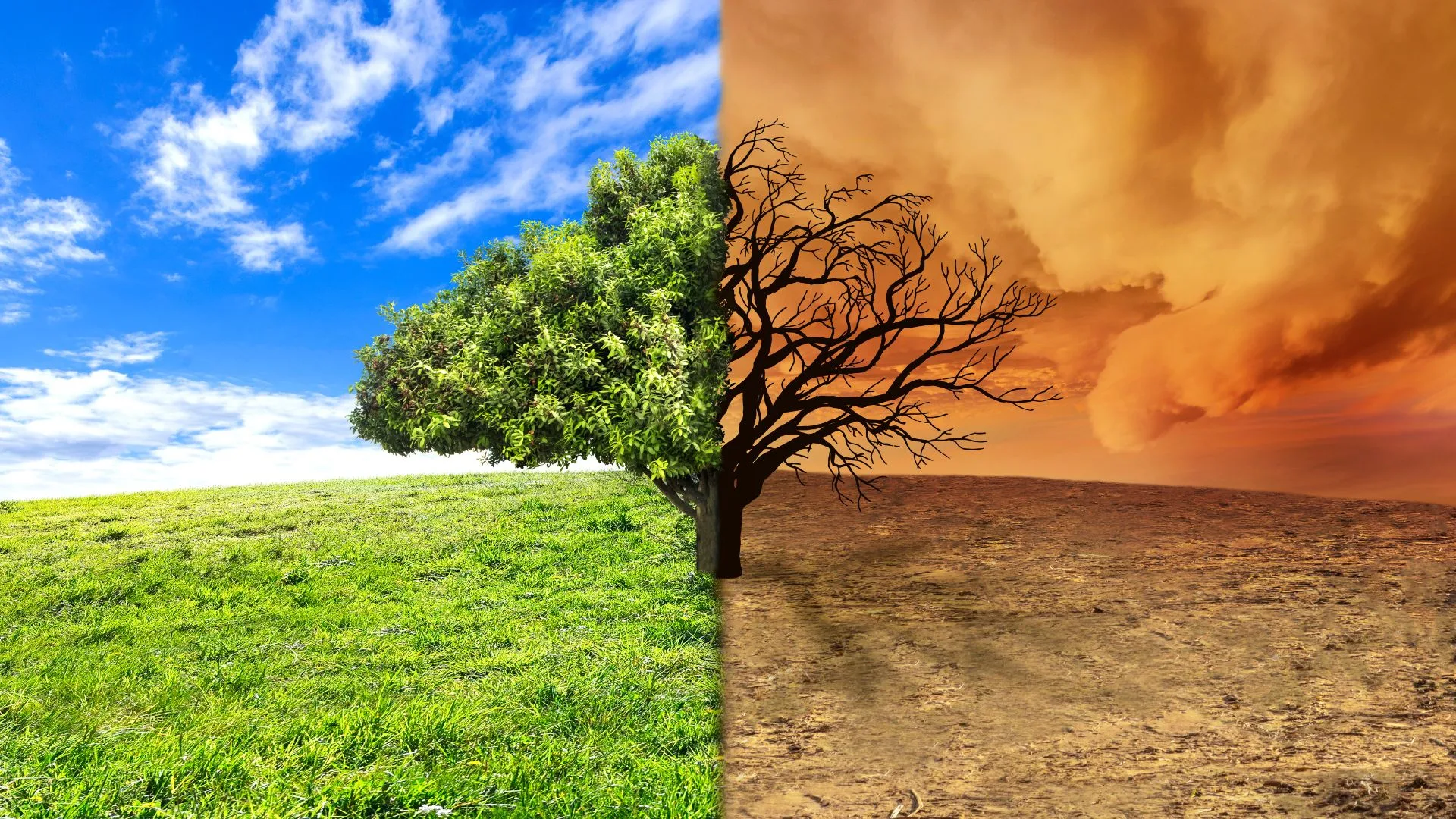 Monsoon in India