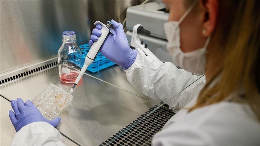 Japan Stem Cell Therapy Parkinson’s 