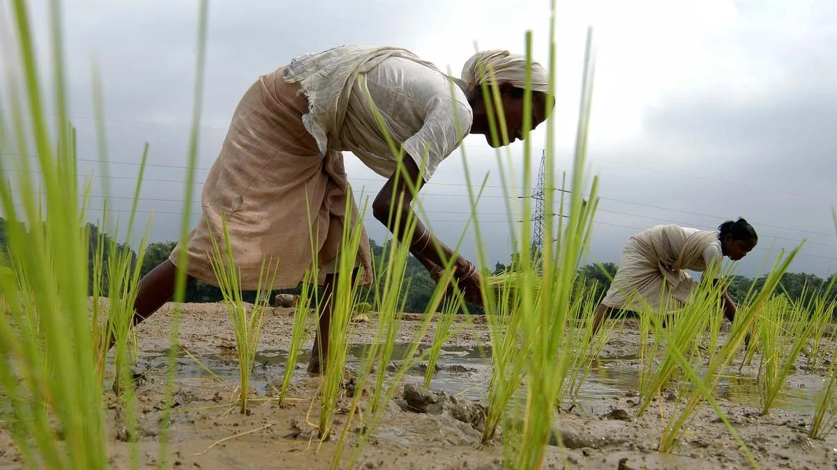 Krishi Sakhi Initiative Women Boosts Rural Empowerment Krishi Sakhi Initiative Women