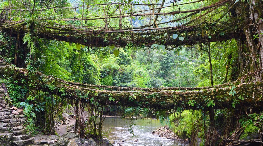 Meghalaya