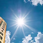 Monsoon Moist Heatwaves Predictable