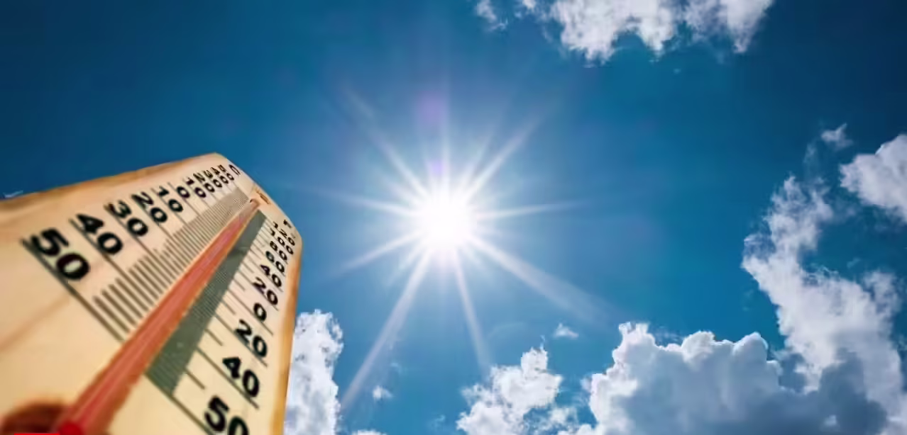 Monsoon Moist Heatwaves Predictable