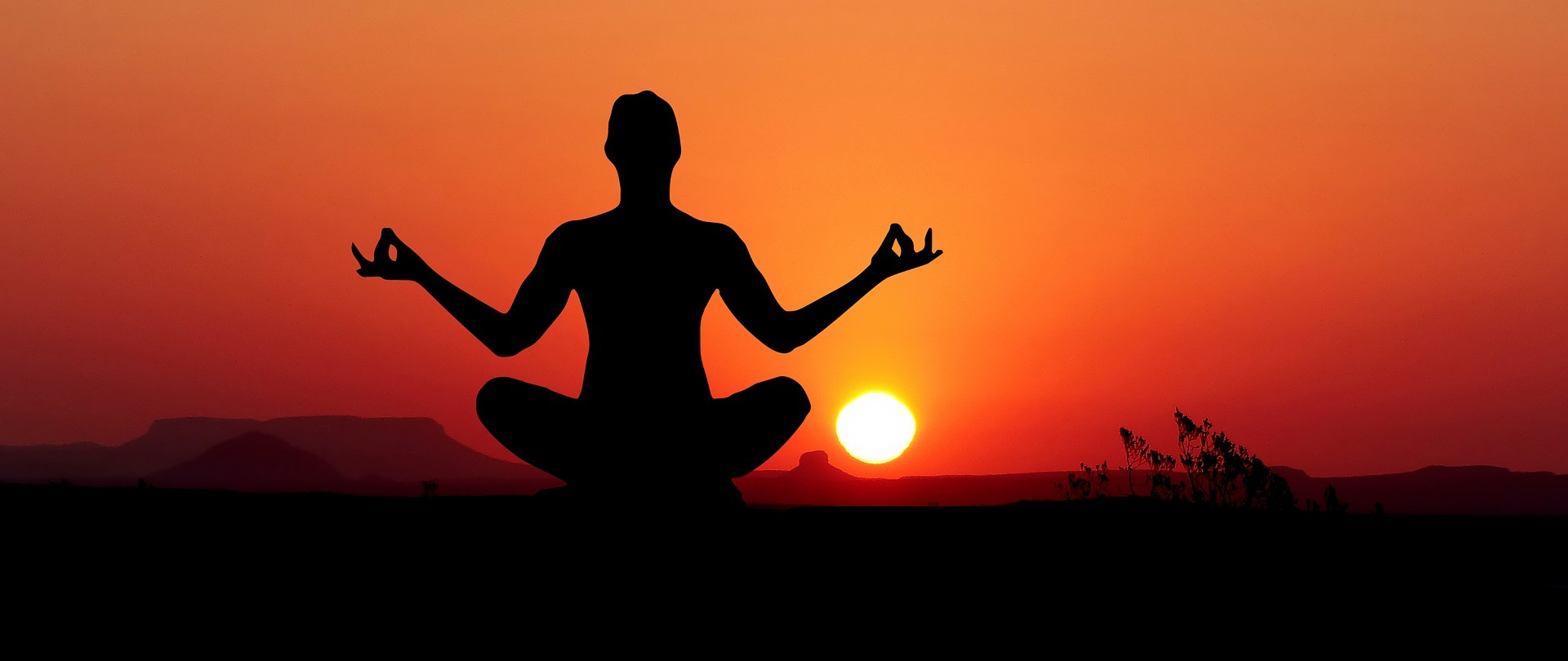 PM Yoga Awards 2026 Entries Open