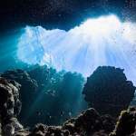 Pacific Seafloor Dark Oxygen