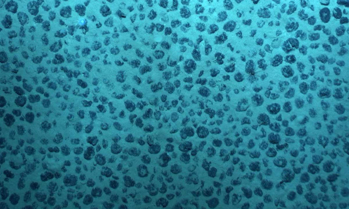 Pacific Seafloor Dark Oxygen 