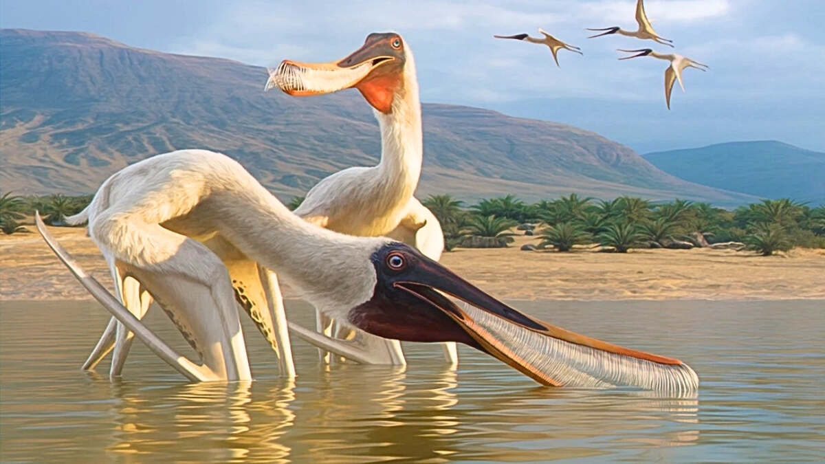 Reptile Found in Dinosaur Vomit