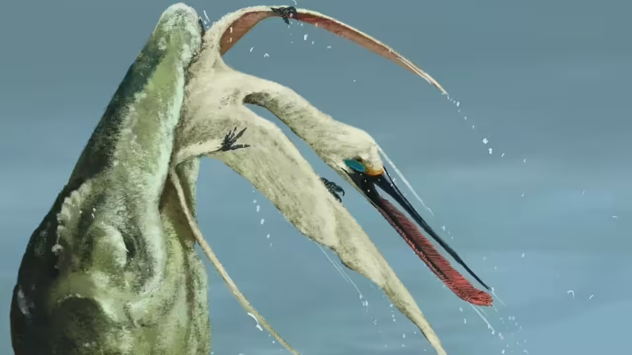 Reptile Found in Dinosaur Vomit