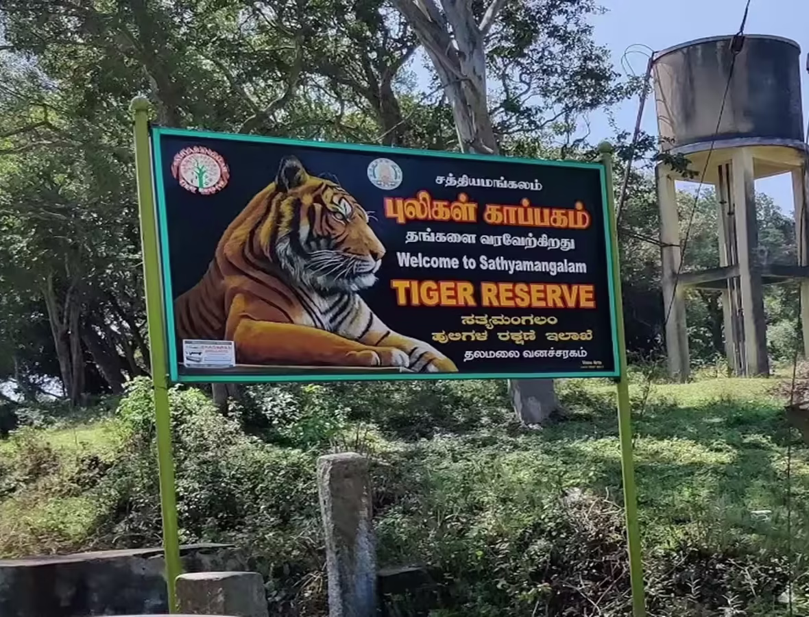 Sathyamangalam Resort Crackdown