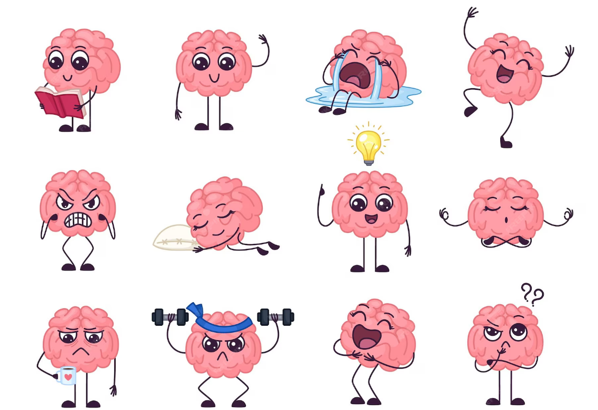 psychological facts about humans