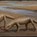 Sonselasuchus Cedrus Discovery