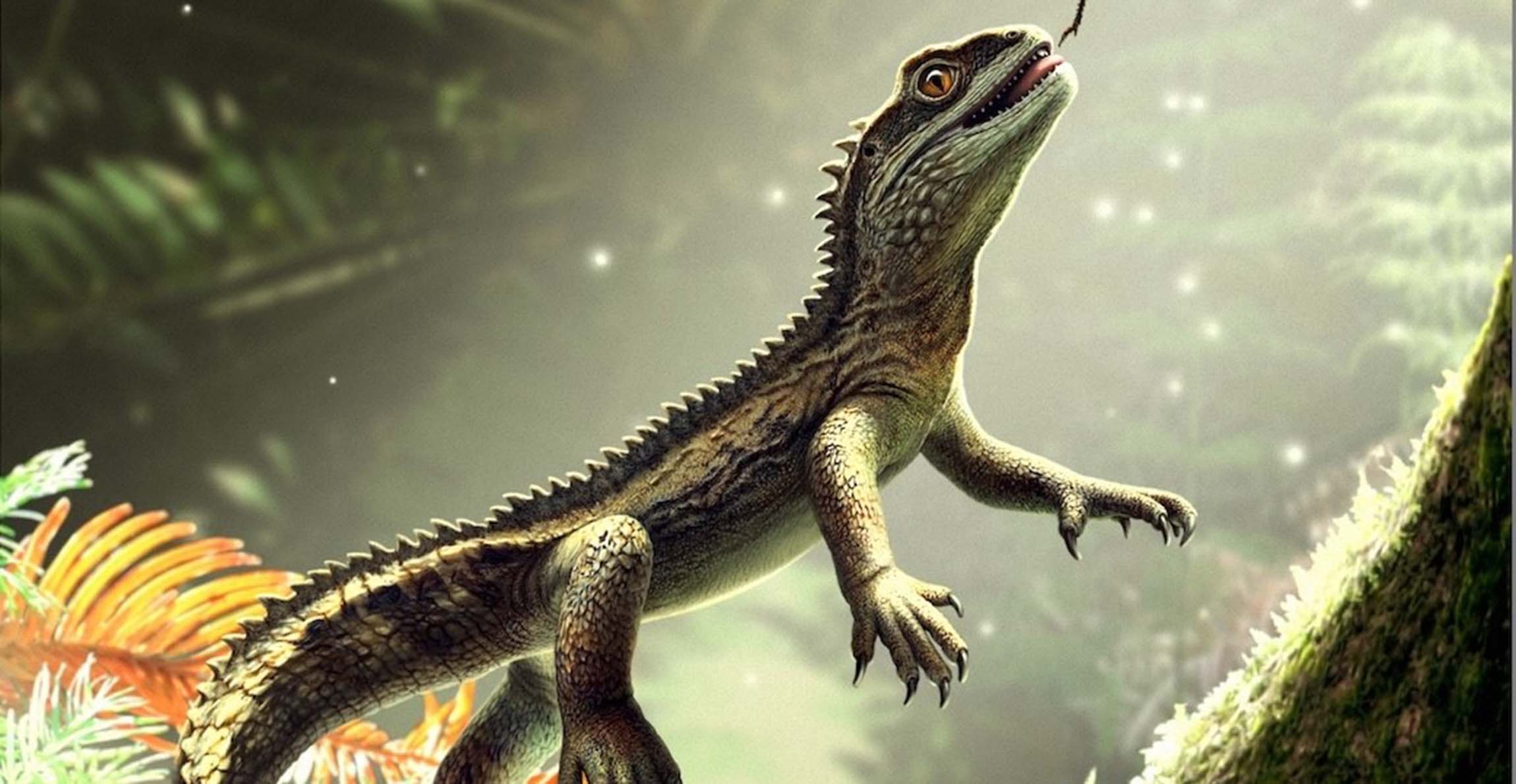 Sonselasuchus Cedrus Discovery: New Ancient Reptile Identified Sonselasuchus Cedrus Discovery