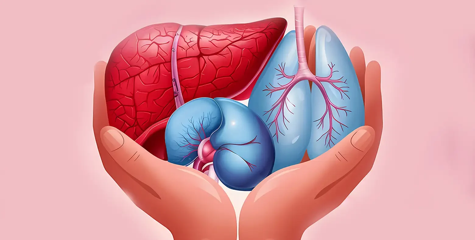 Tamil Nadu Deceased Organ Donation