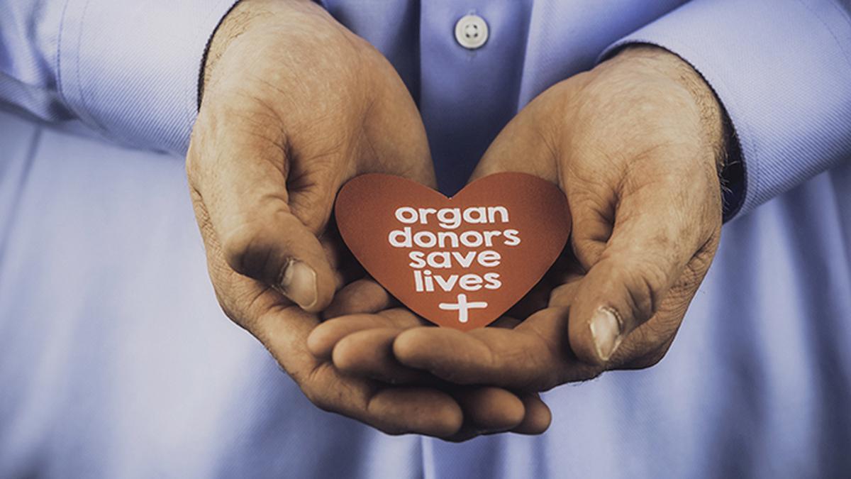 Tamil Nadu Deceased Organ Donation Model Emerges as India’s Best Pretorius 188 Tamil Nadu Deceased Organ Donation