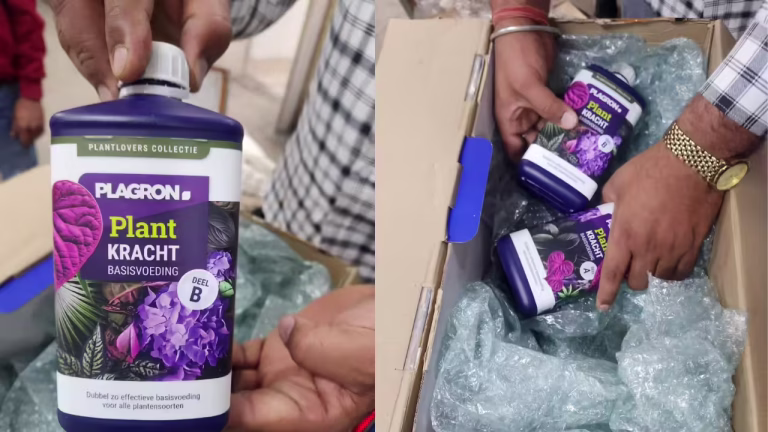 Team Kalki Darknet Drug Bust