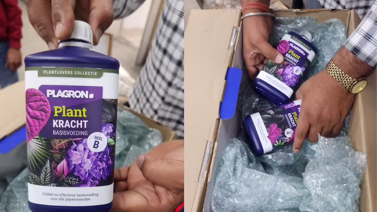 Team Kalki Darknet Drug Bust