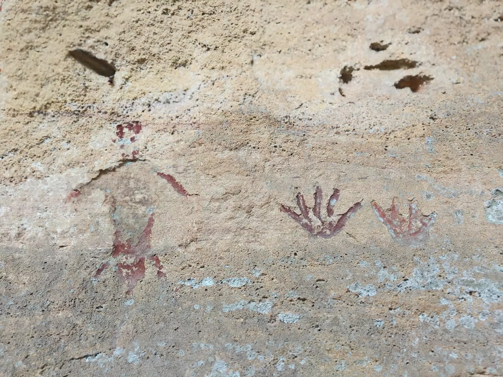 Telangana Petroglyph Discovery
