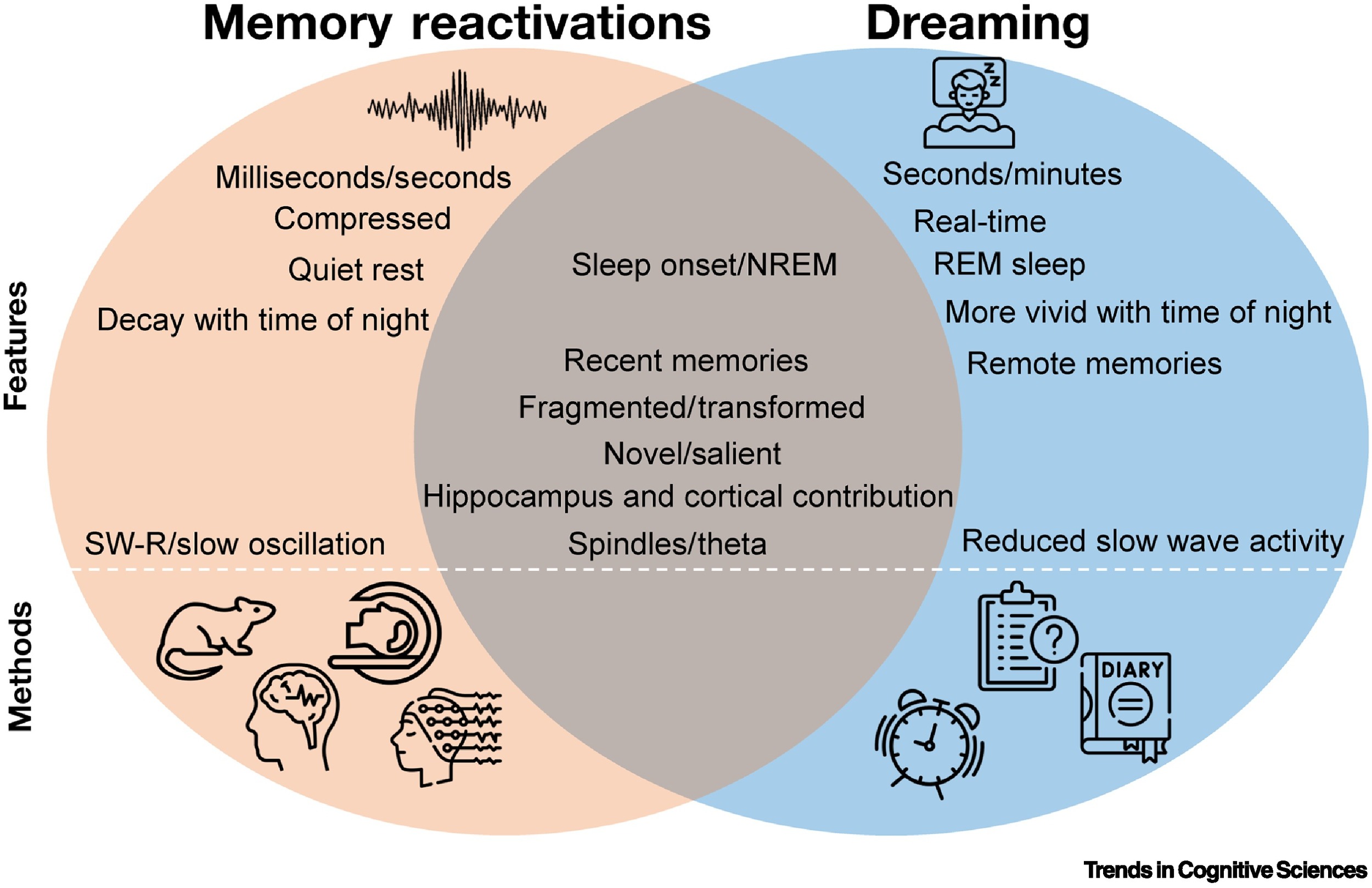 Why Do Humans Dream? FICCI FRAMES 2026 Why Do Humans Dream