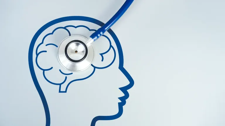 CALM Brain Repository