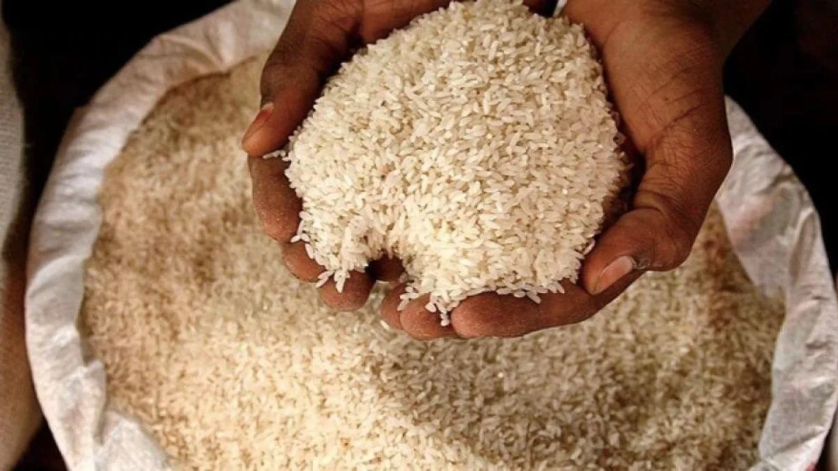 China Broken Rice Imports Resume Amid Price Advantage China Broken Rice Imports Resume