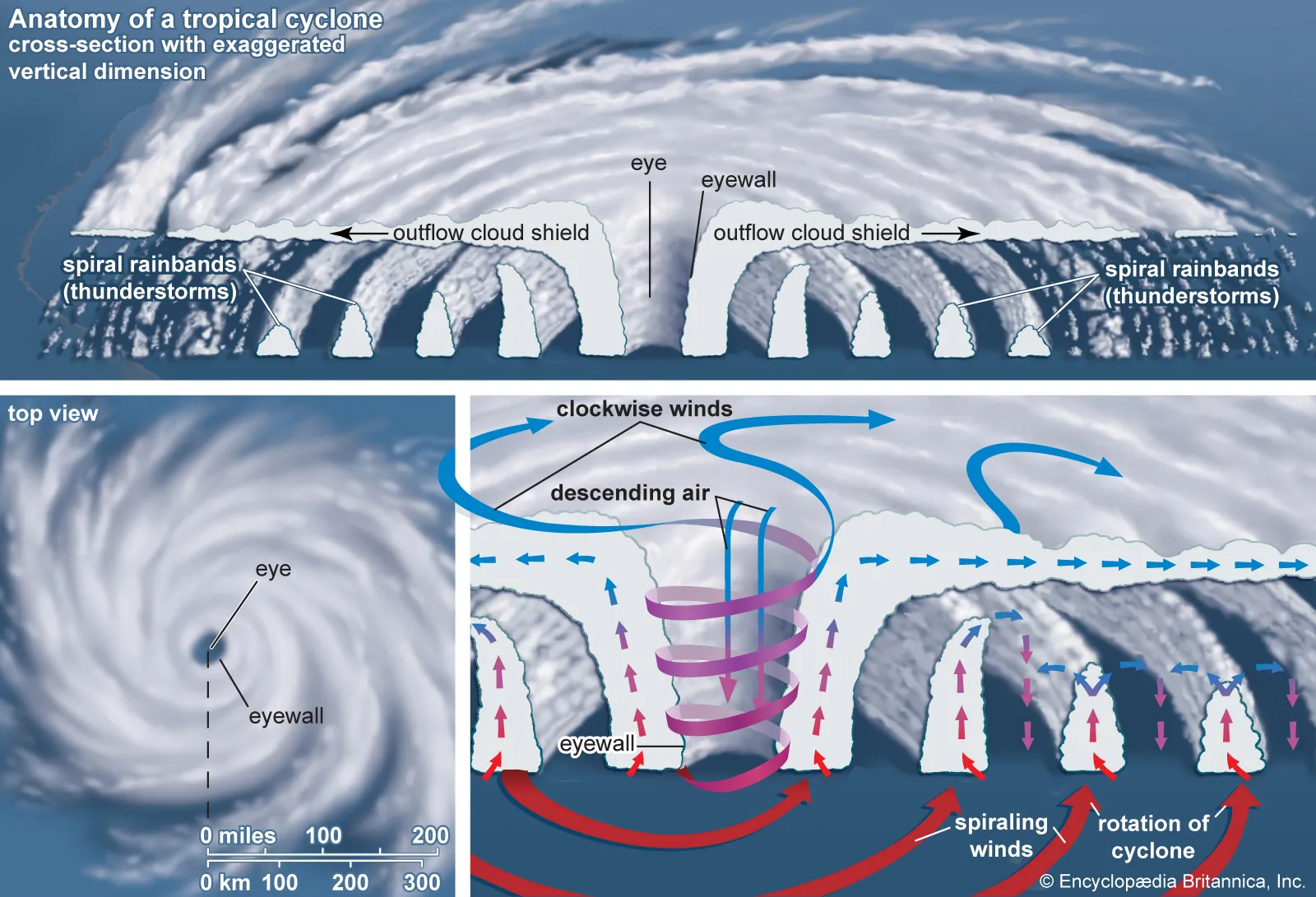 Cyclone