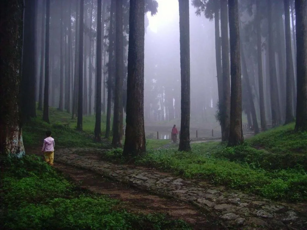 Darjeeling