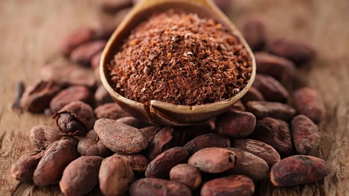 India Cocoa Self Sufficiency 2040 Plan Gains Momentum India Cocoa Self Sufficiency 2040