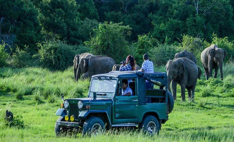 Kaziranga 