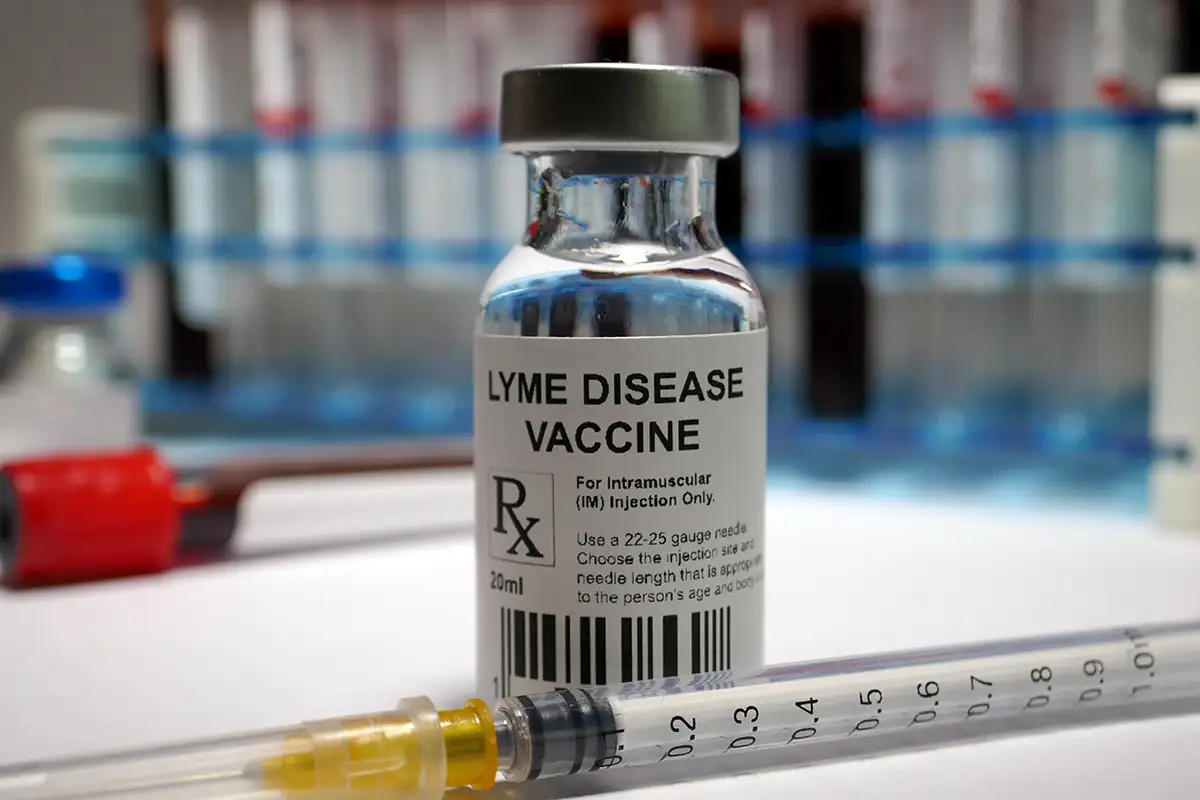 Lyme Vaccine Trial Success