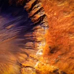 Mars Survival Cells