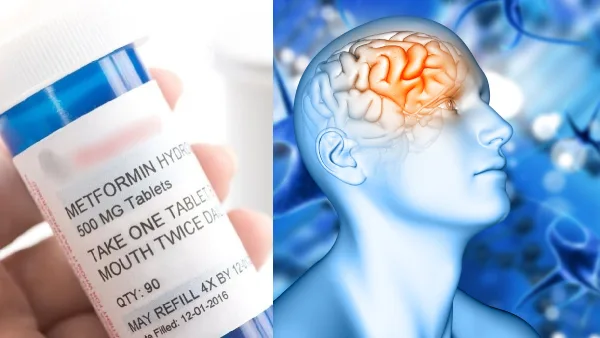 Metformin Brain Effect